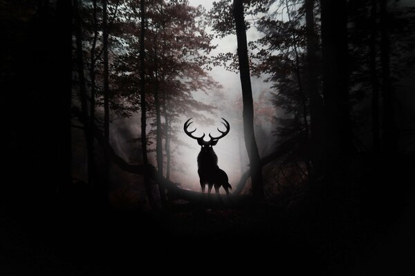 Dessin d art d une forêt sombre avec un cerf