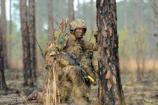 British Shooter nel bosco