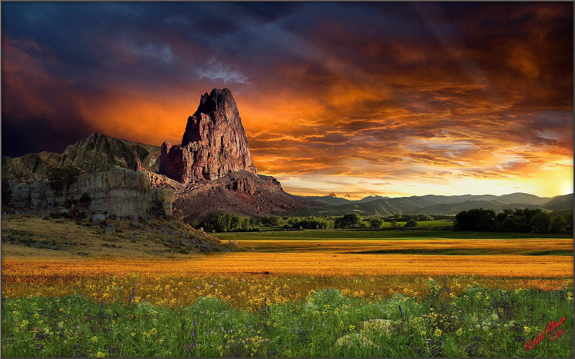 prairie nature sunset mountain usa wildflower