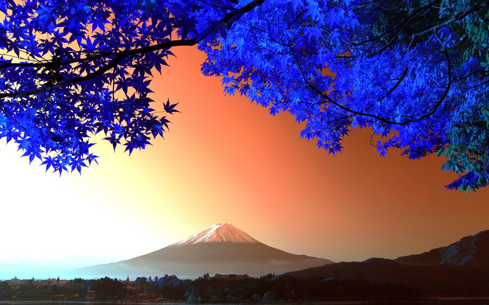 photographer giappone fujiyama albero montagna foglie