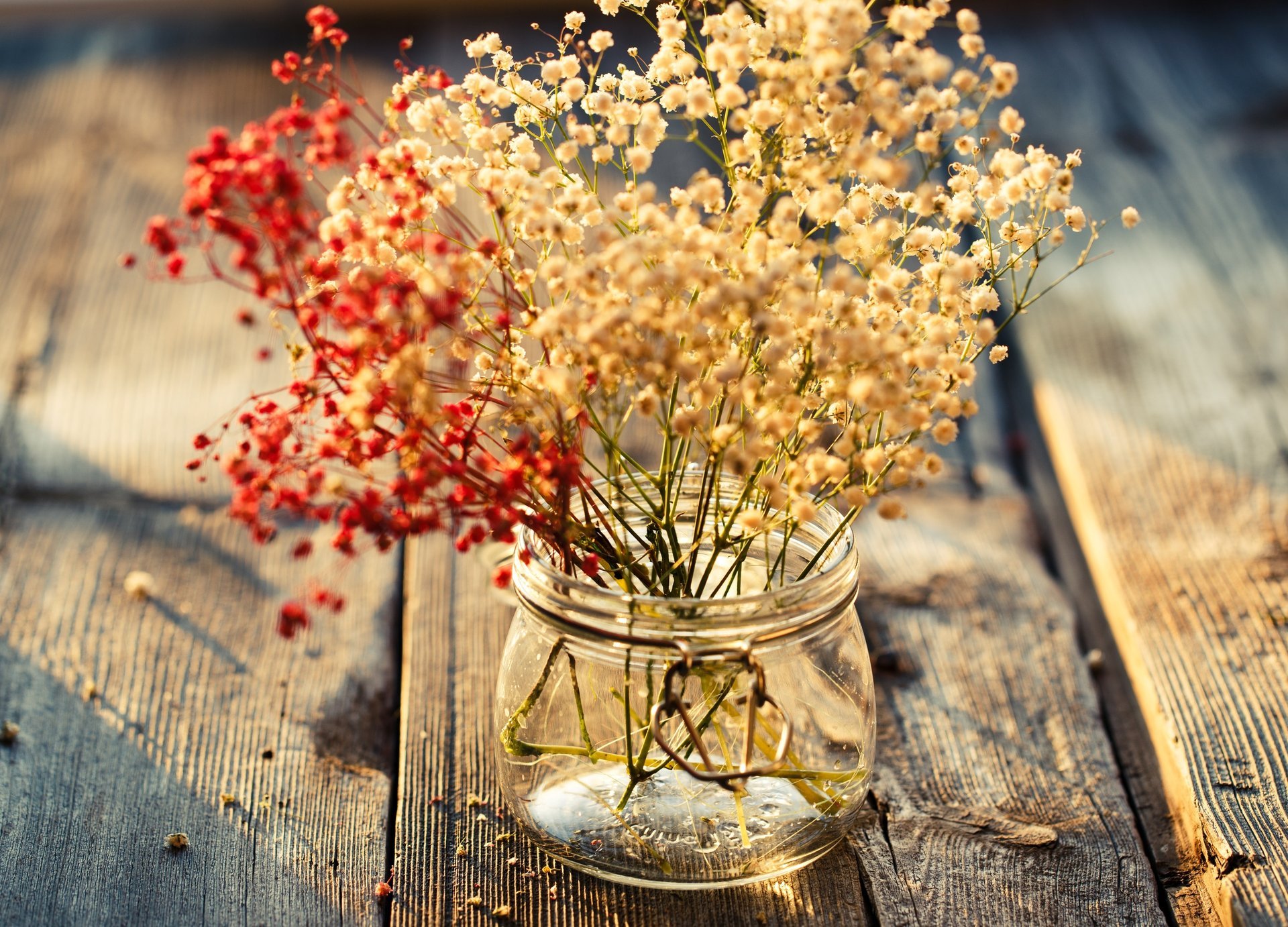 flower plants flowers leaves jar flower