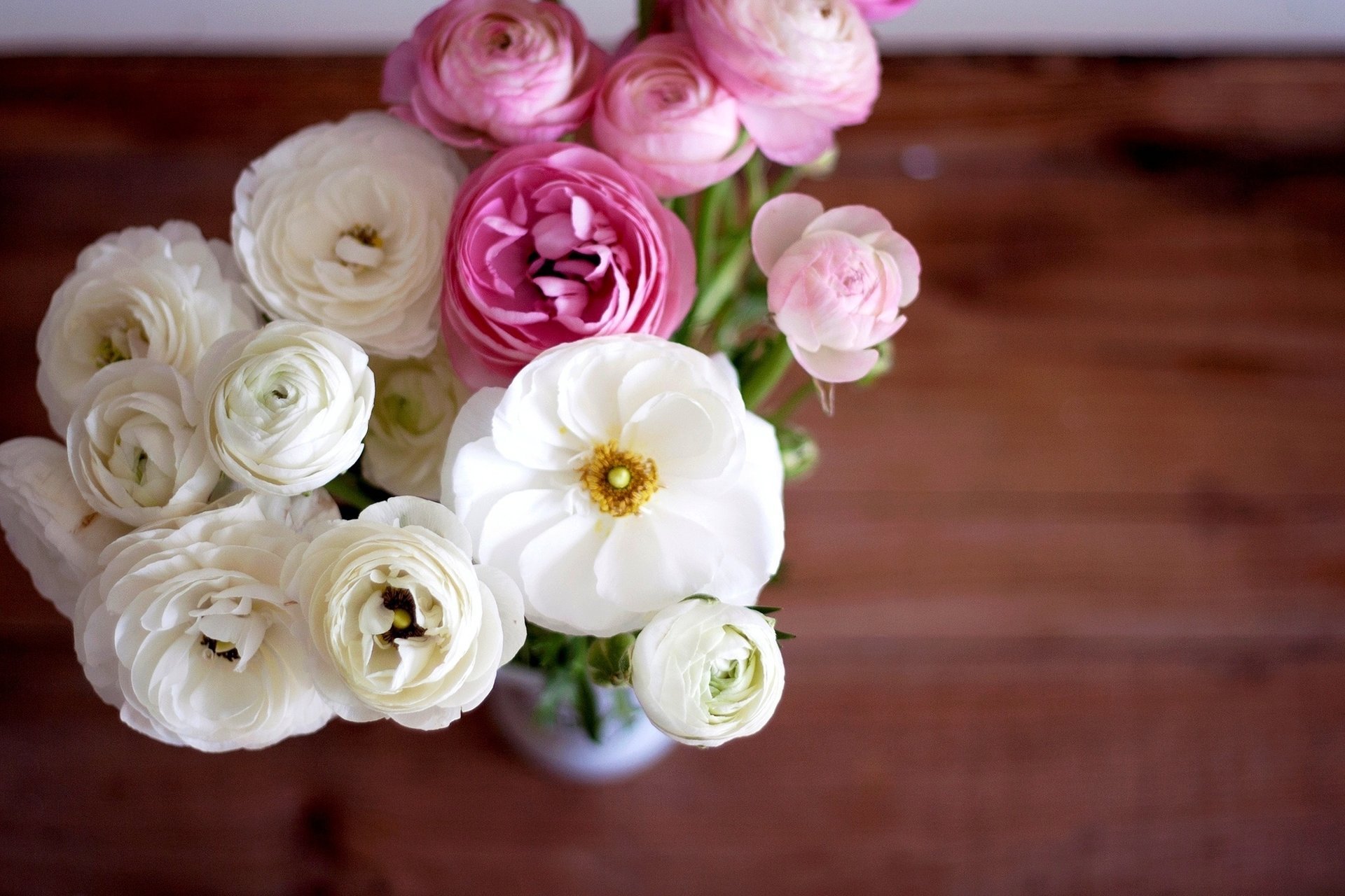 flowers ranunculus white buttercups bouquet buds pink