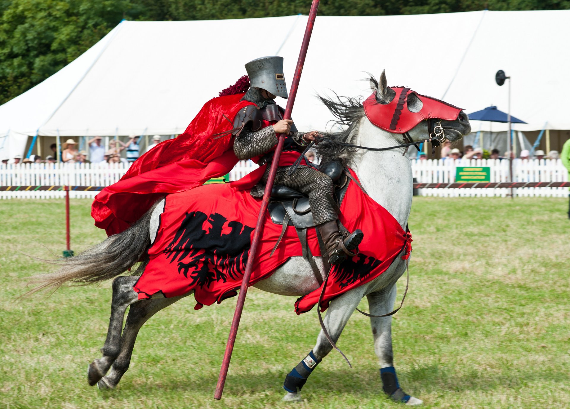 cavaliere guerriero armatura metallo cavallo cavallo