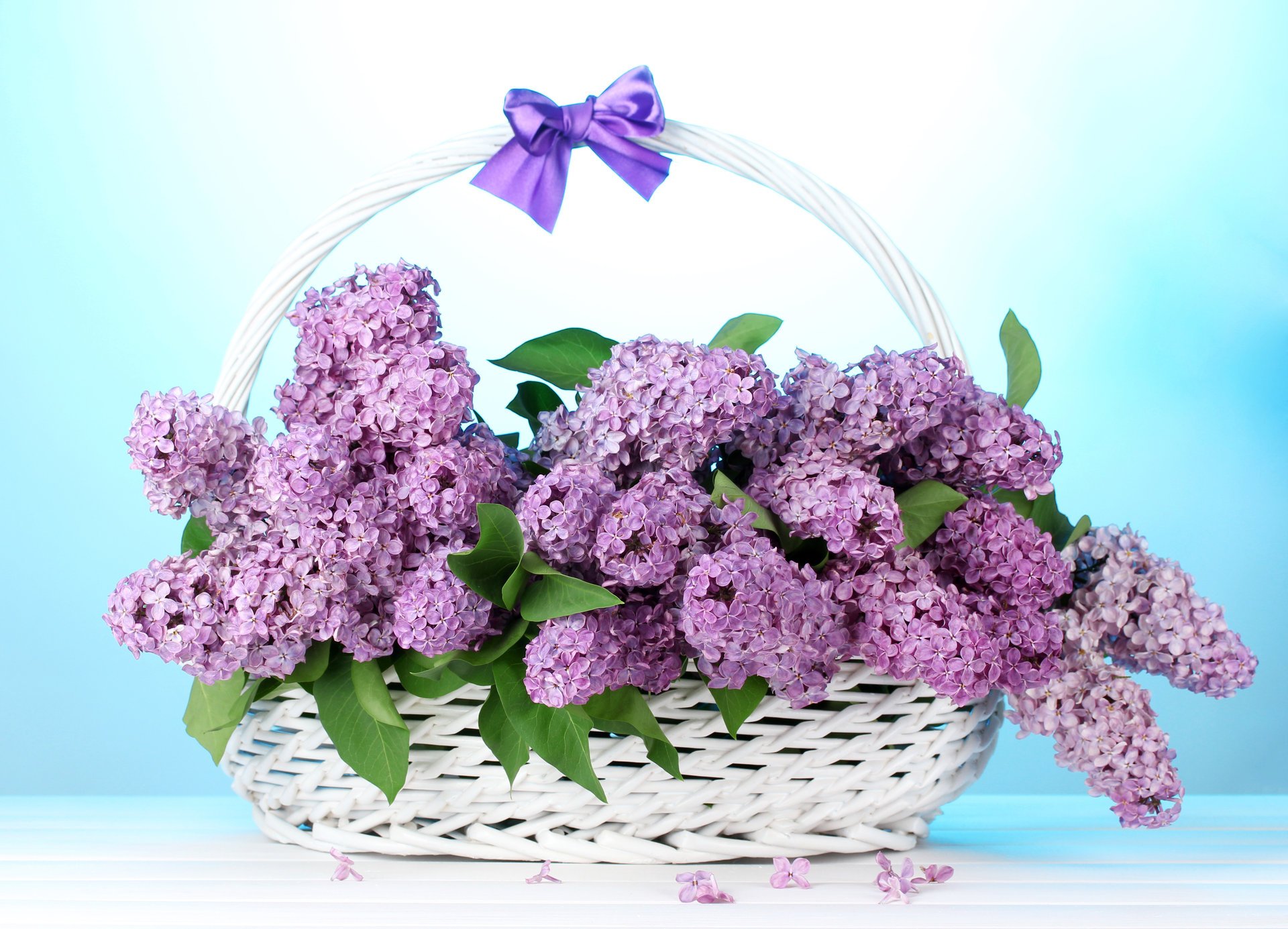 flowers lilac bow basket bouquet