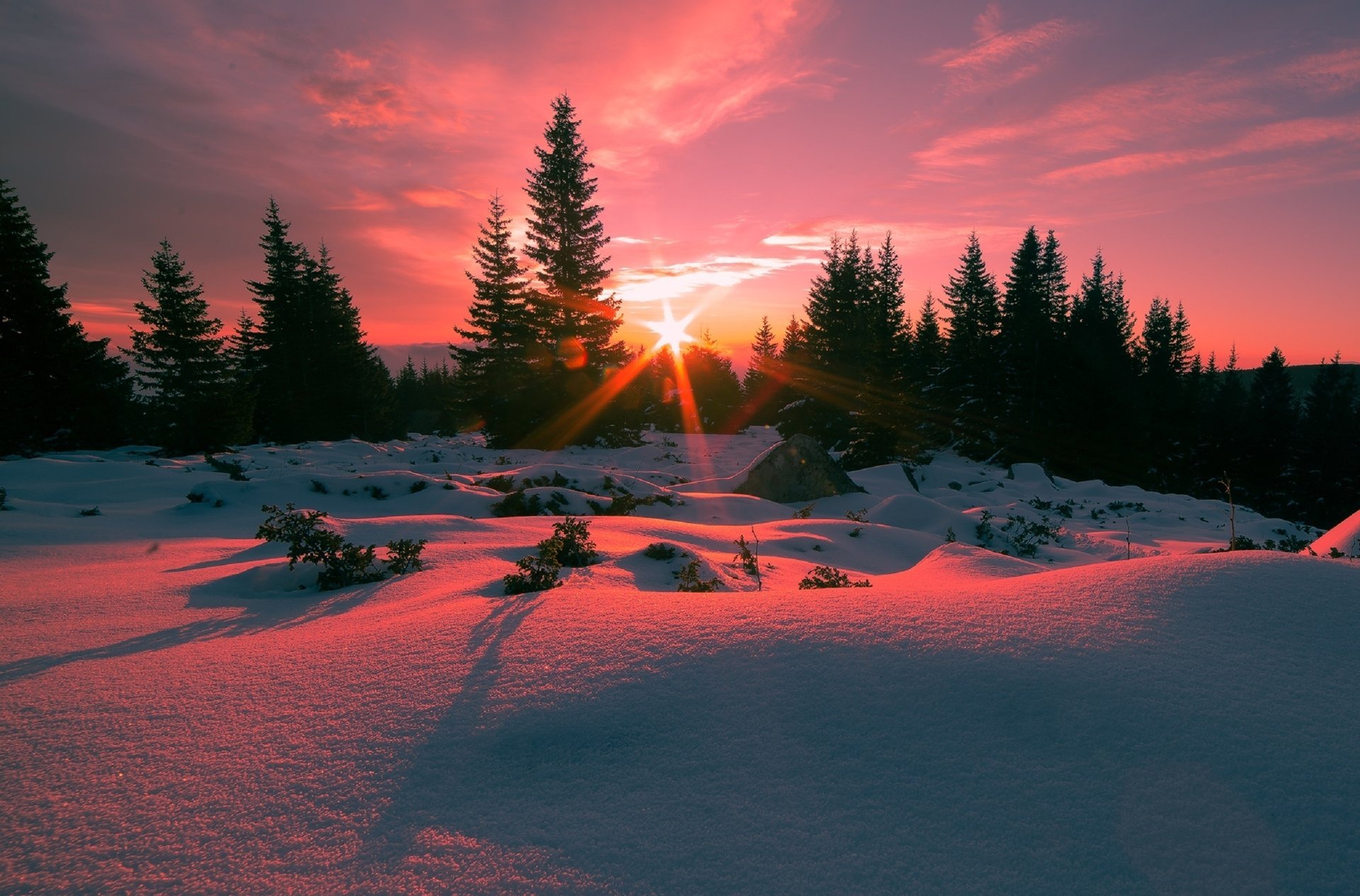 vitosha mountain bulgaria sunrise