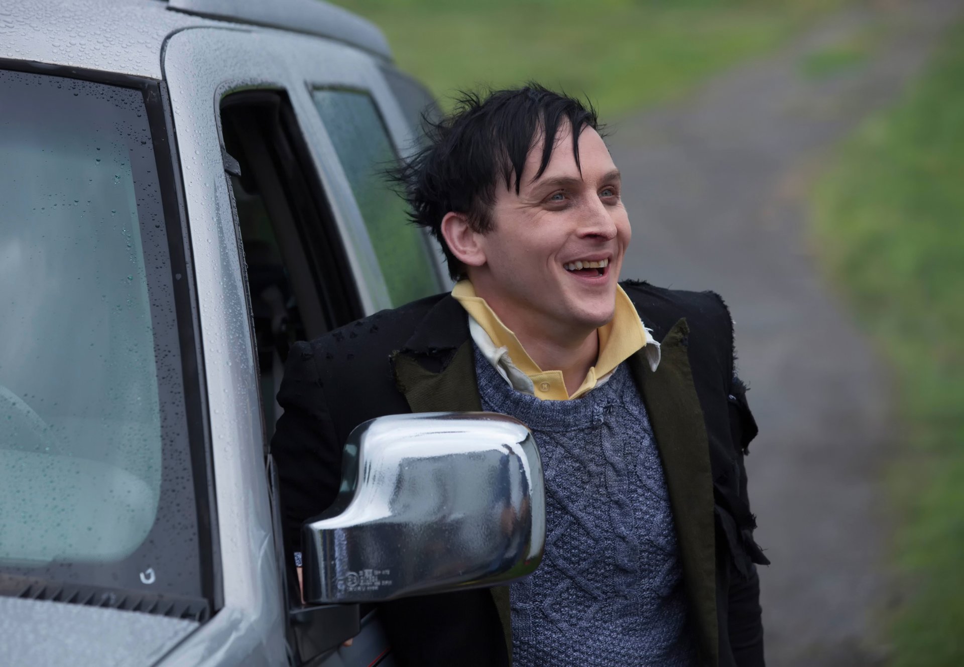 Robin Lord Taylor role