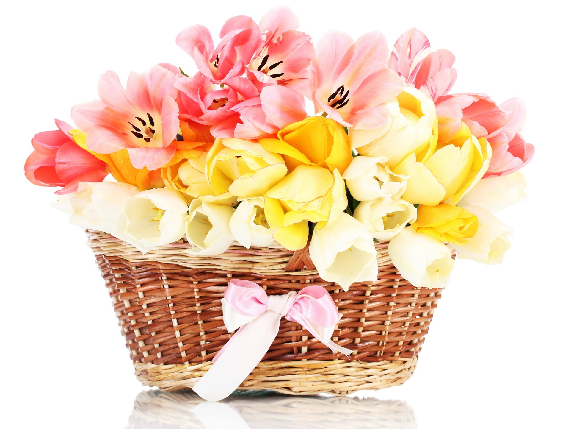 flowers tulips basket bouquet basket bow flower