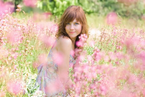 Chica en el campo entre las flores Rosadas