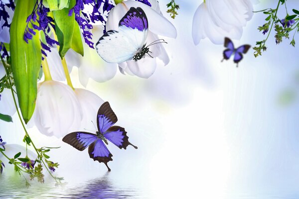 Schönes Bild mit Blumen und Schmetterlingen