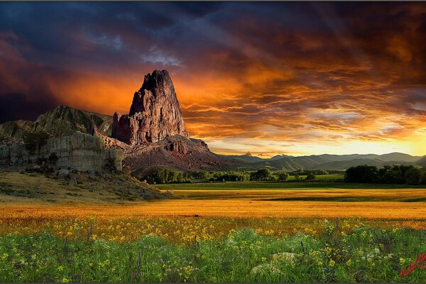 Puesta de sol en las montañas bellamente iluminada flores silvestres