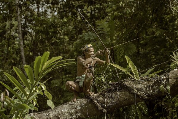 Soldado solitario en guardia del bosque