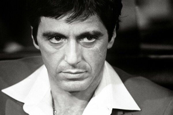 Star del cinema di Scarface