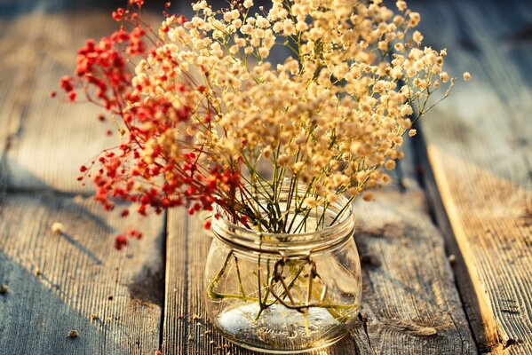 Bouquet di suzofiores in un barattolo di vetro