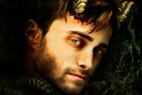 Portrait of Daniel Radcliffe with horns