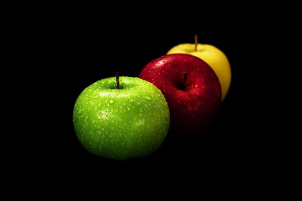 Still life three multicolored apples on a black background