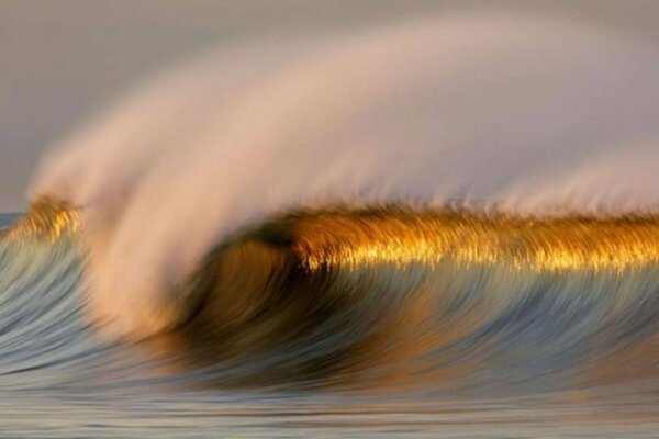 Photo of the element of water - a wave in the ocean