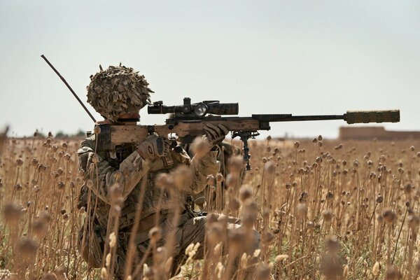 Sniper dans le champ, tire au loin