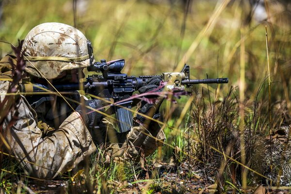 Soldados con armas en la naturaleza