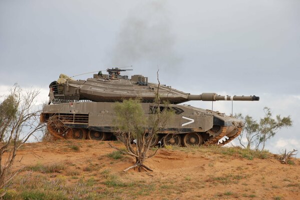 Char de combat israélien des marais