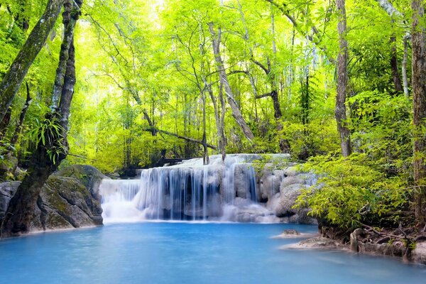 Cascades of a mountain river in nature in a dense forest