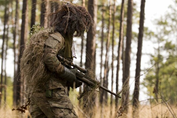 Sniper with a gun in the forest. Army