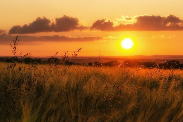 Ciel orange au coucher du soleil, vallée avec de l herbe