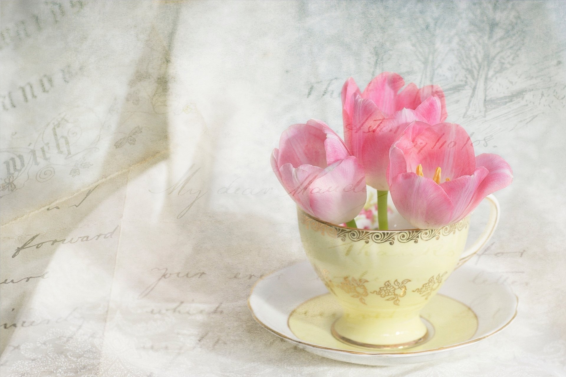 flowers tulips letters saucer cup pink vintage