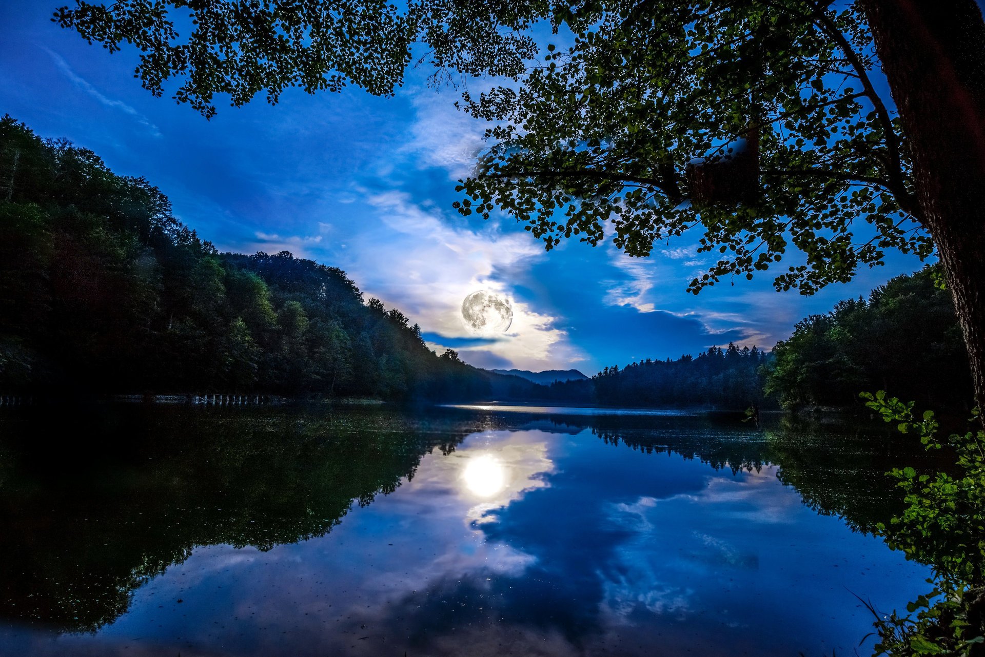 mainz allemagne forêt rivière arbres nuit ciel lune nuages lumière réflexion