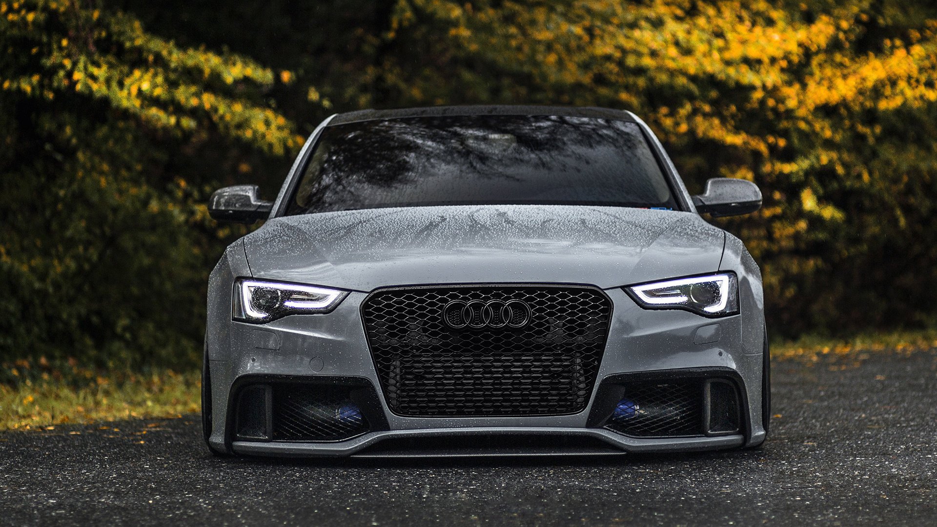 audi light