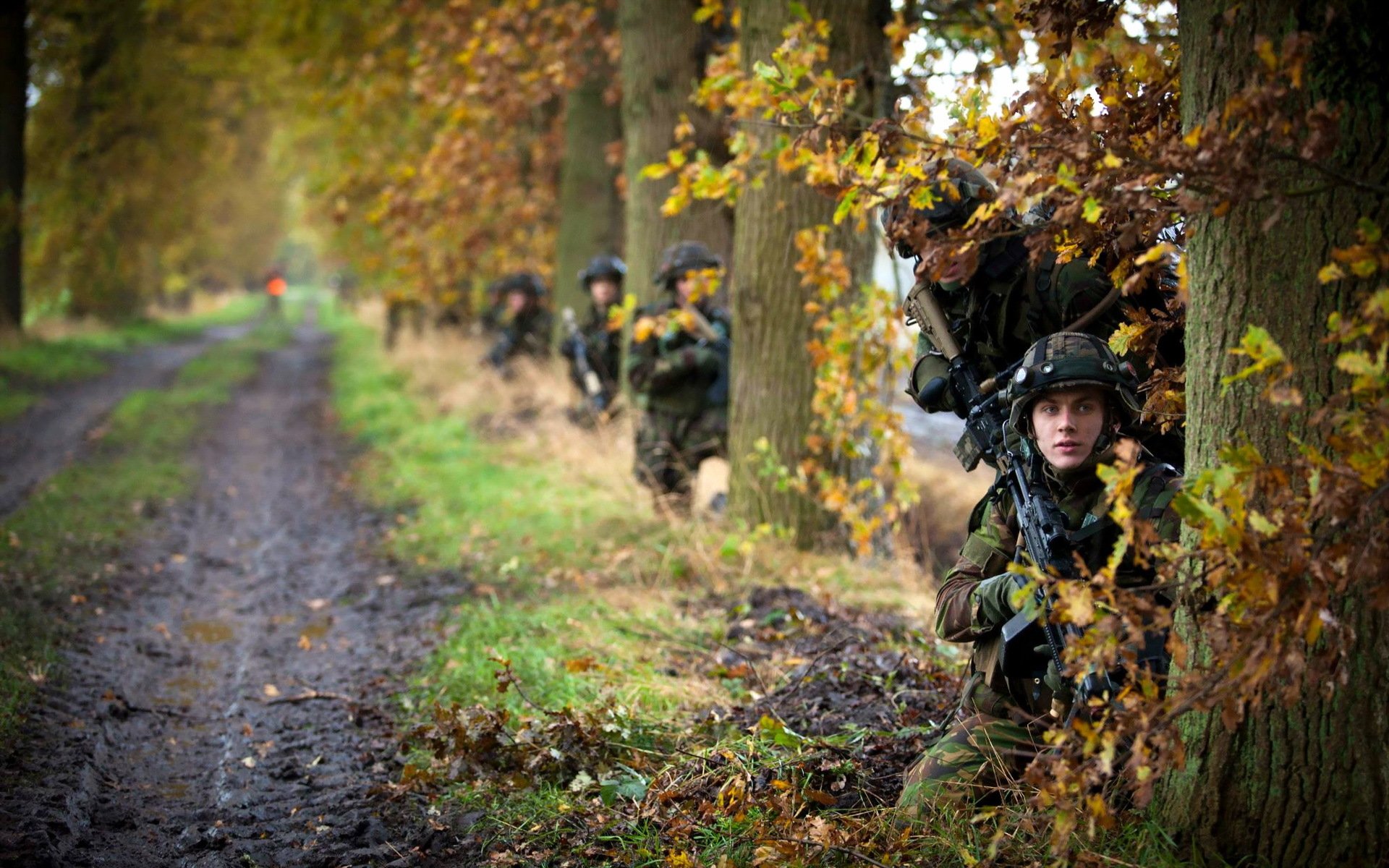 niederländische königliche armee soldaten waffen