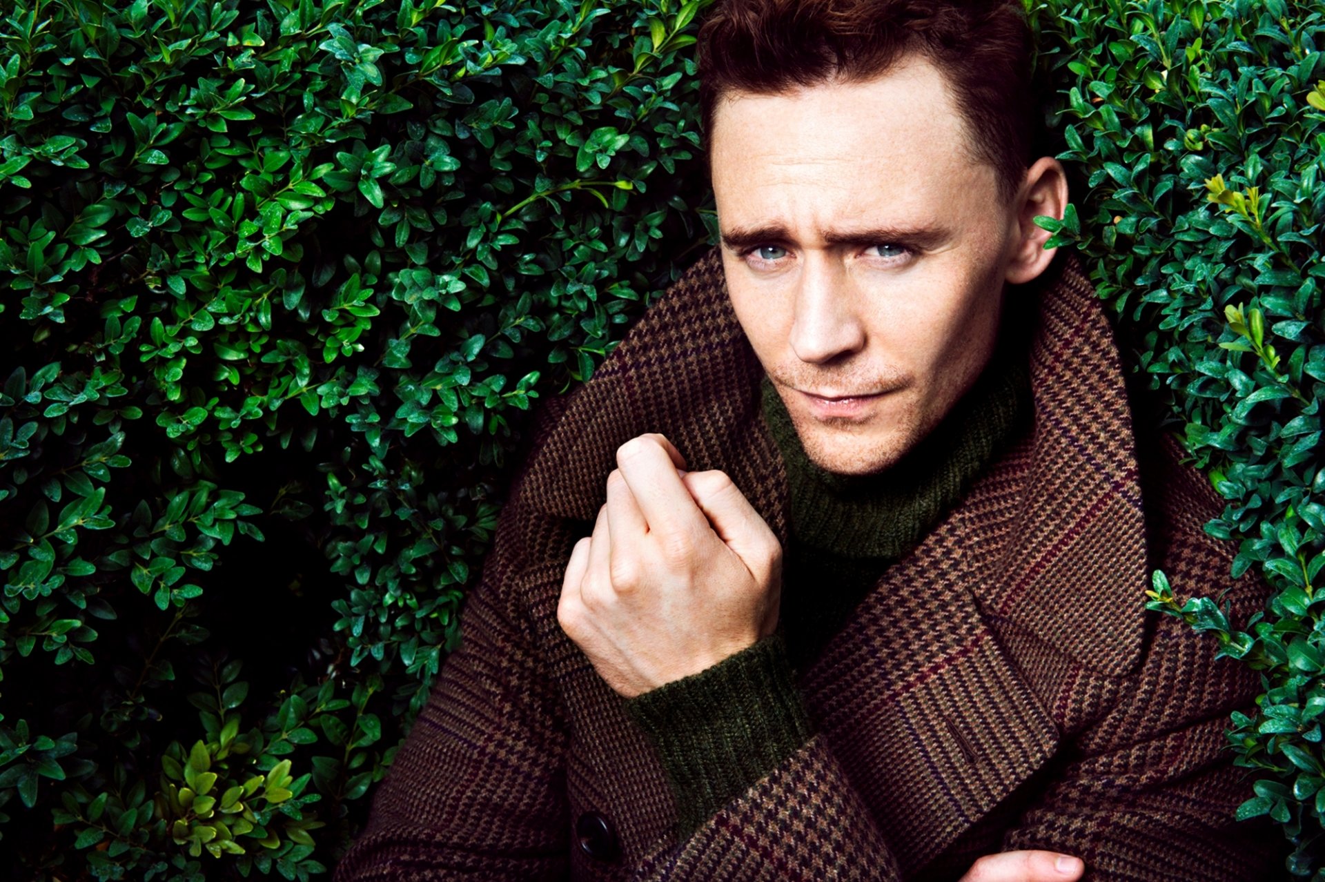 hiddleston tom hiddleston mâle acteur manteau buissons verdure