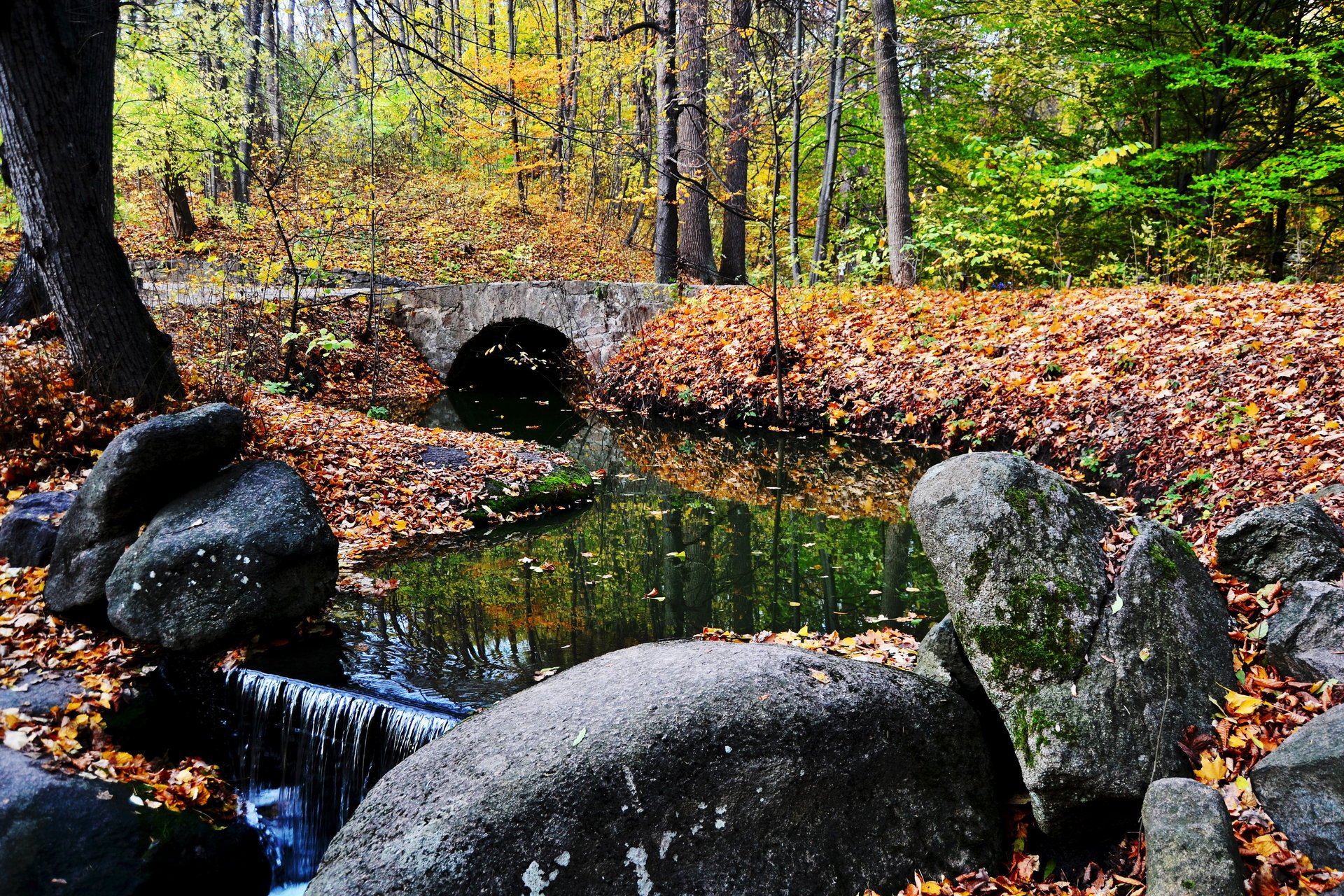 ukraine ouman national dendrologique sofievka parc automne