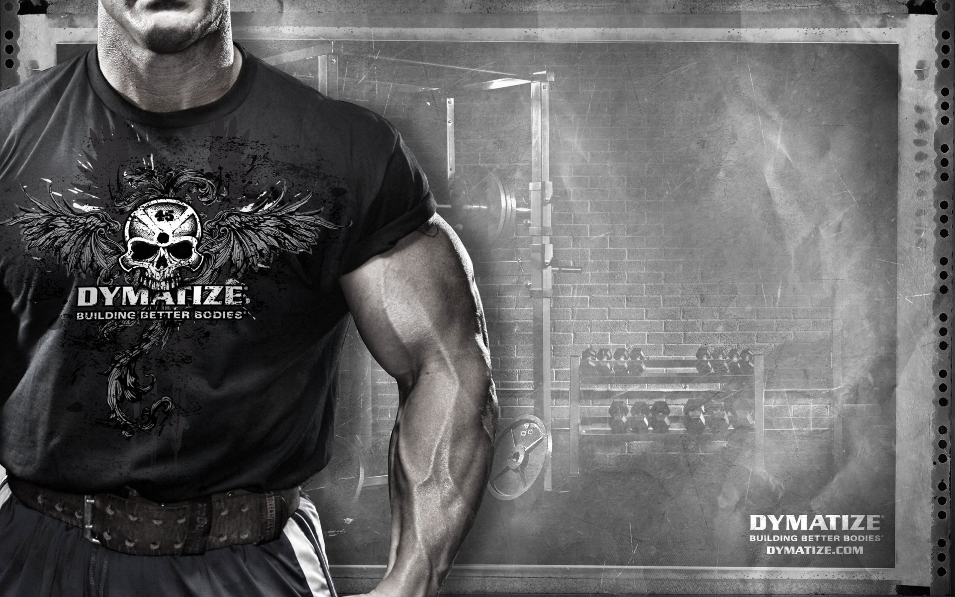 andy aman dymatize sportpit músculo deporte