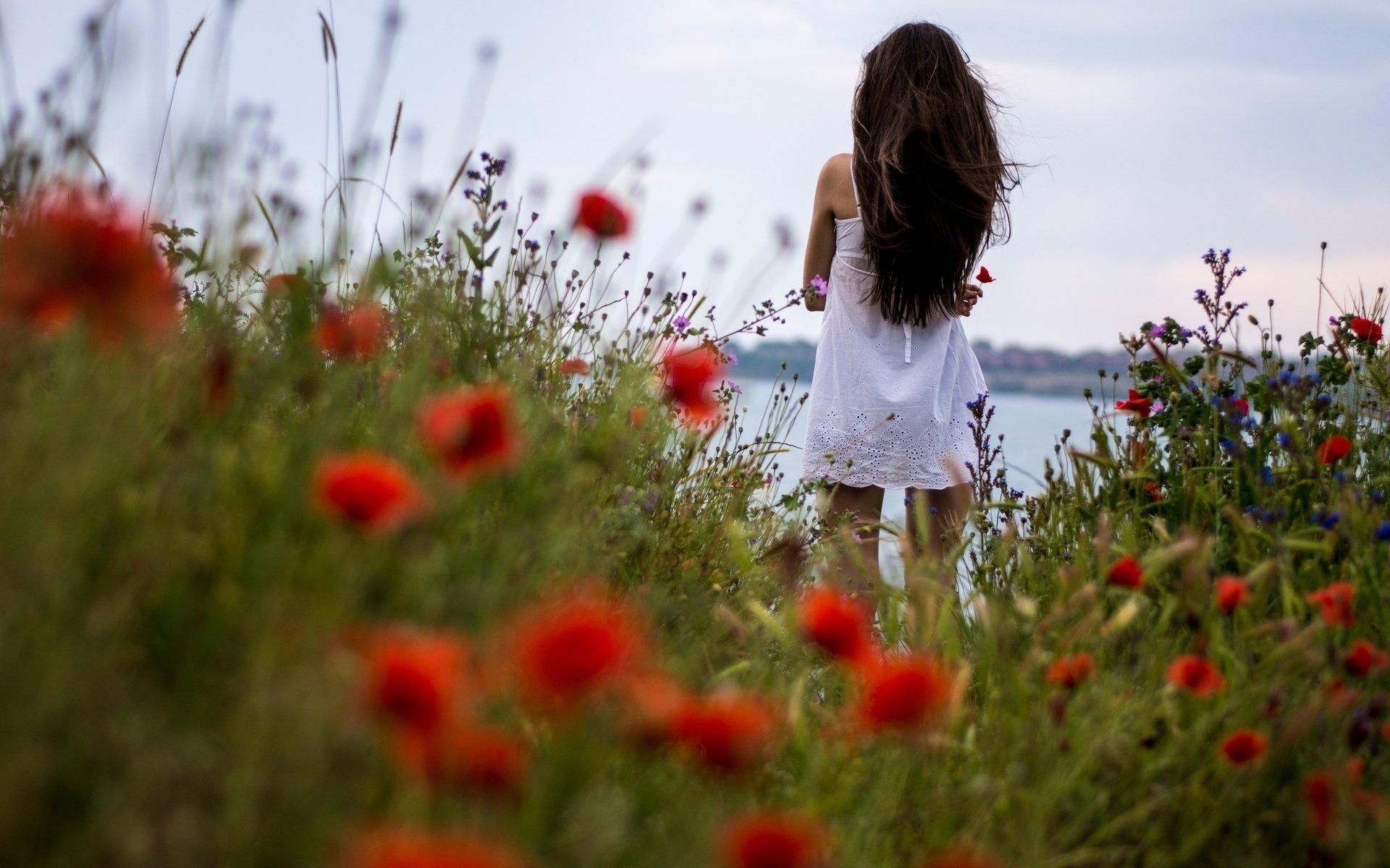 blumen mädchen lange haare brünette