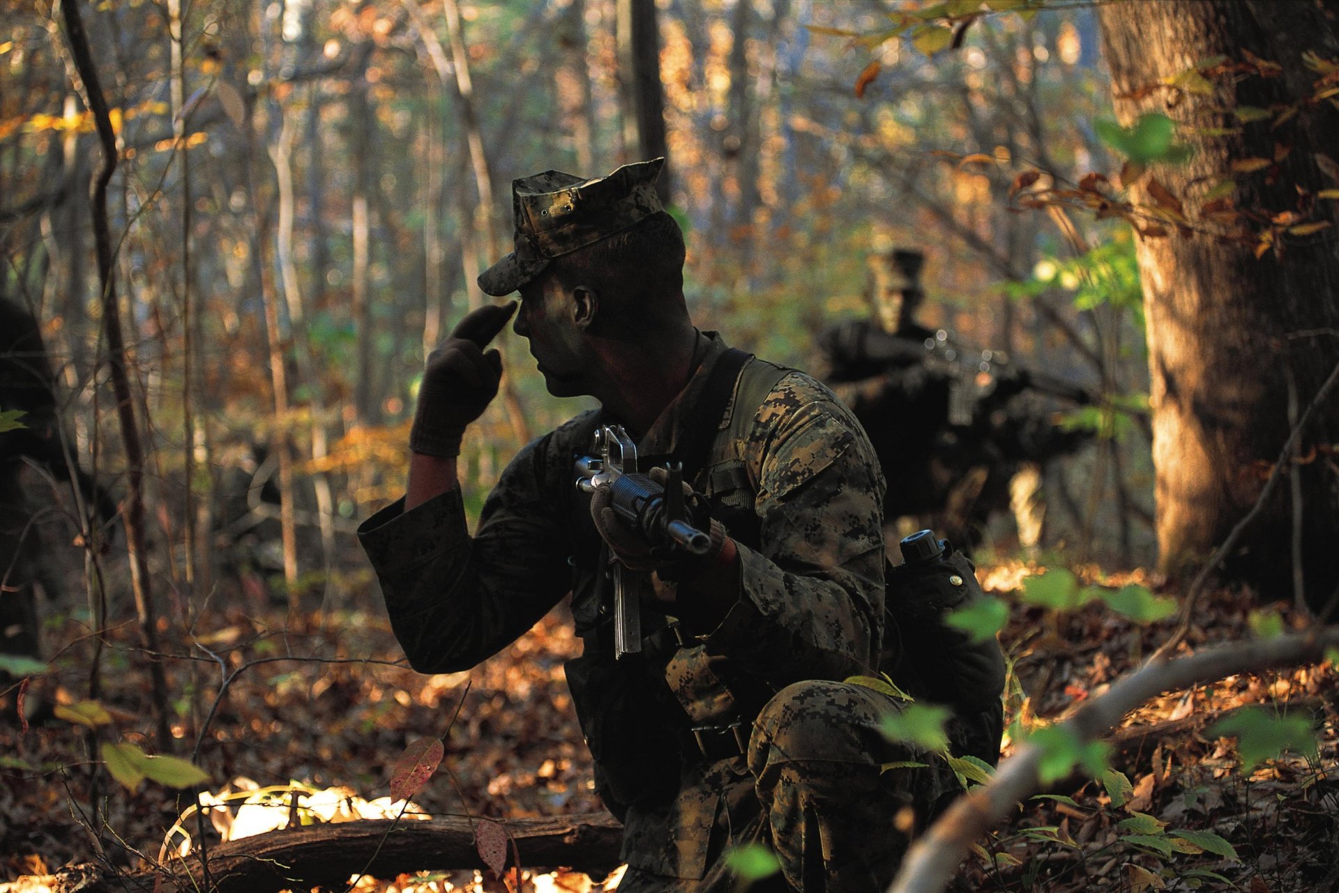 żołnierz marines piechota odznaka broń las