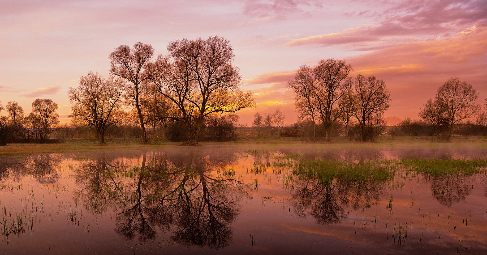 nature spring morning dawn meadow water the sky cloud