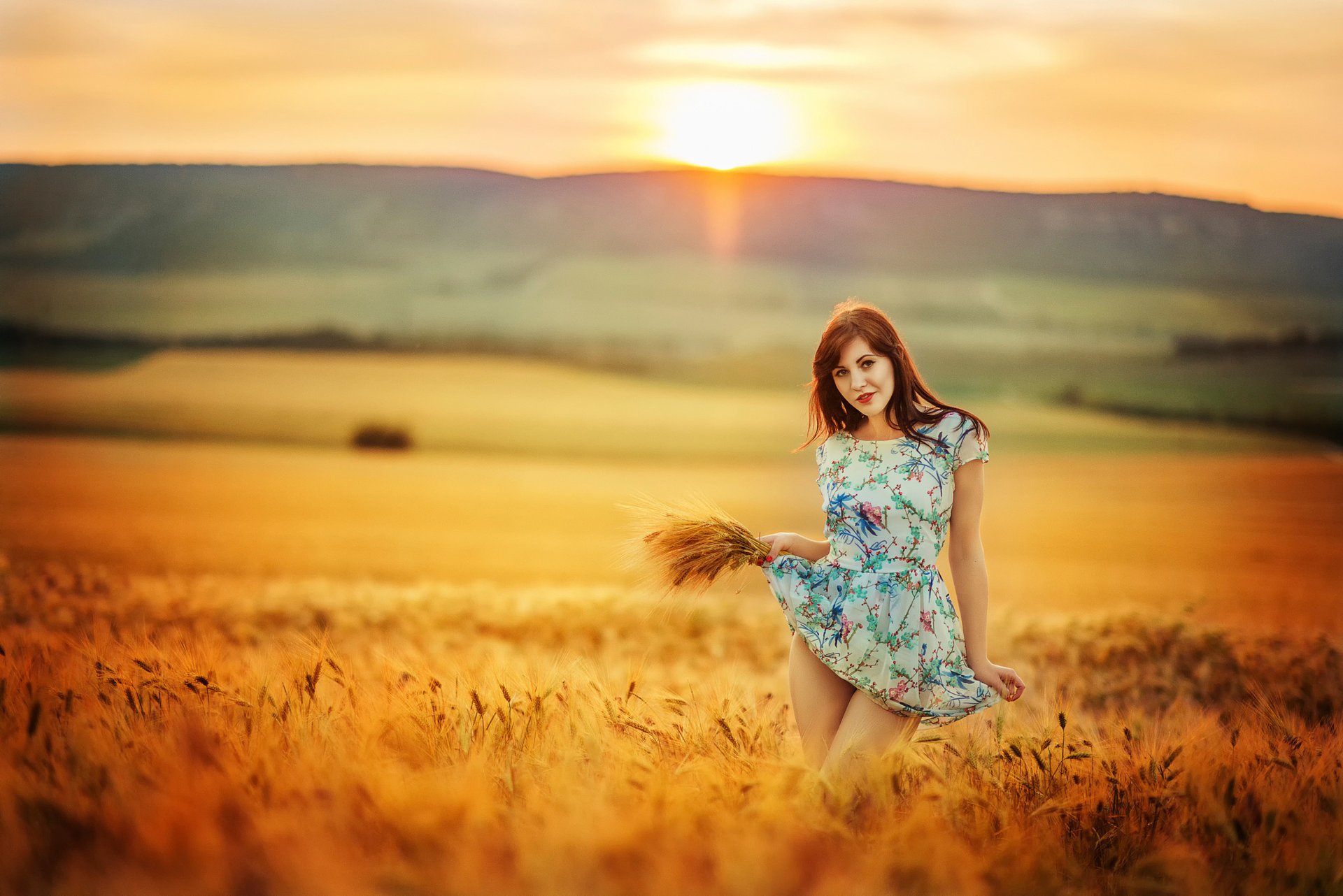 girl field the sun dress wheat brunette