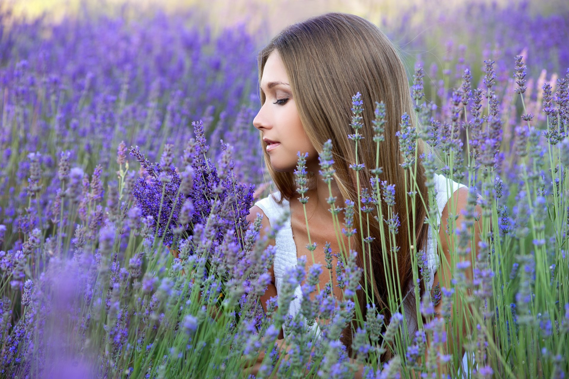 blumen lavendel mädchen blond profil feld