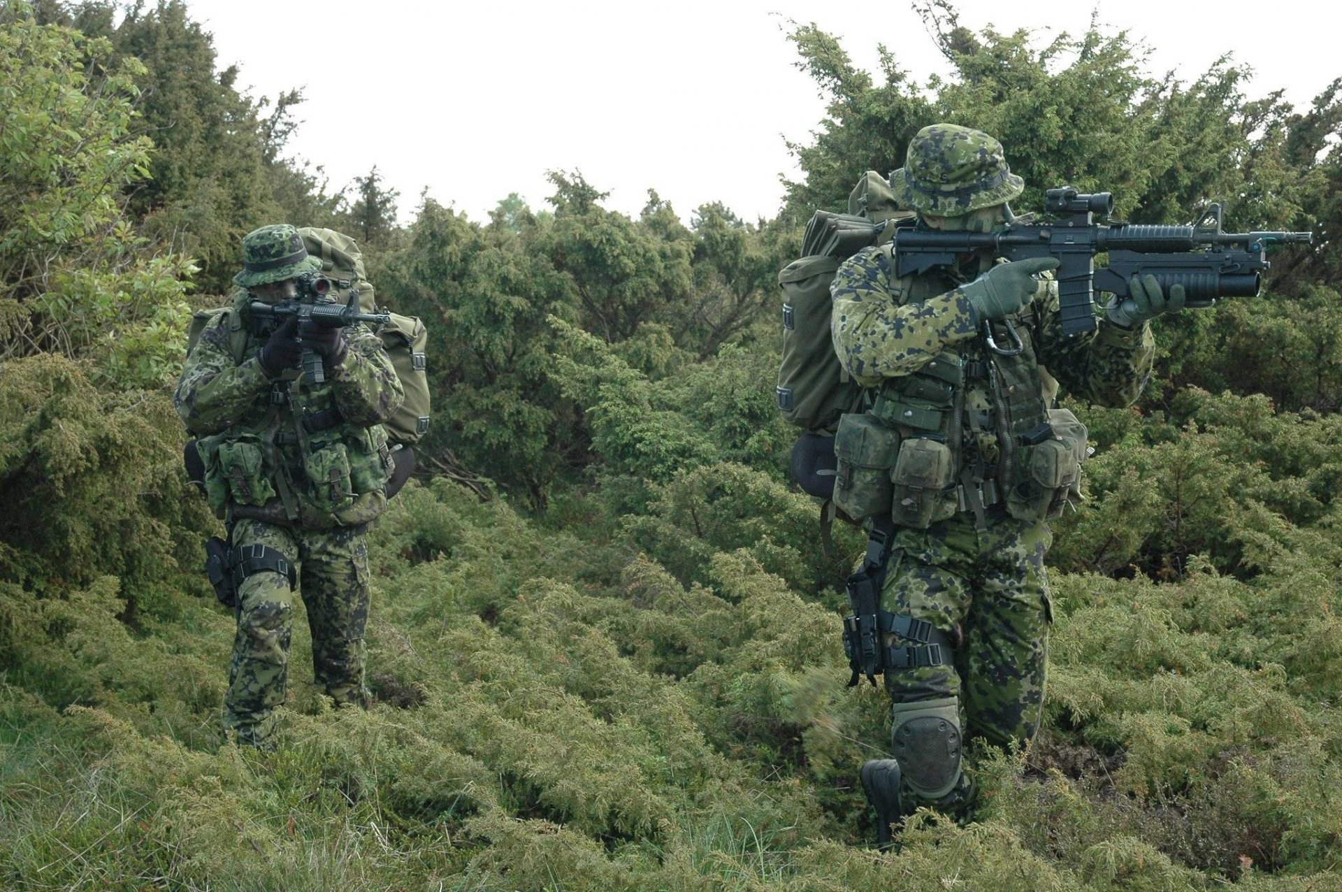 spécial unité danemark soldats armes forêt herbe