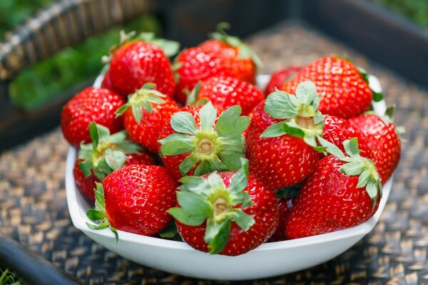 Süße Erdbeeren im Sommer aus dem Bett