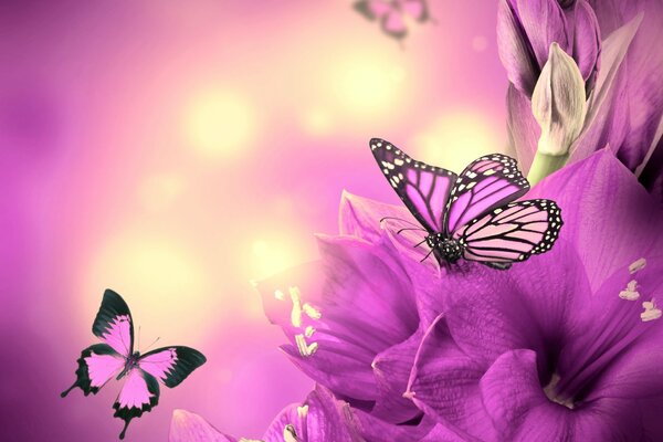 Purple butterflies on a background of flowers