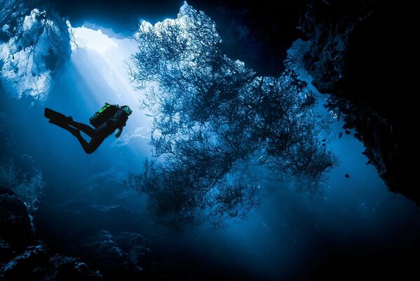 The beautiful island of Menjangan in Indonesia is famous for diving