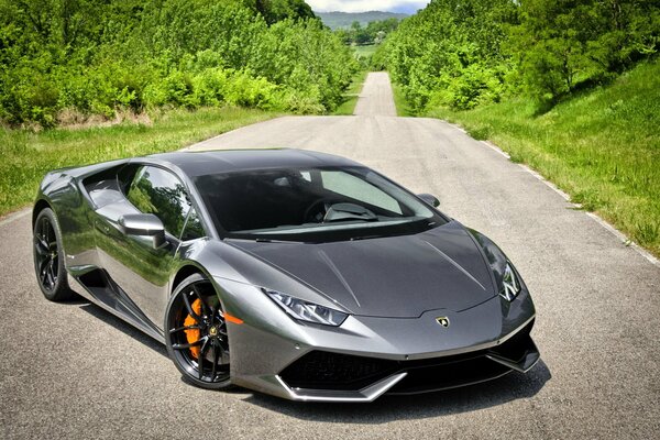 Lamborghini en el fondo de un camino rural