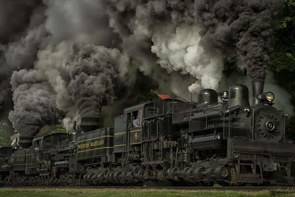 Historia de terror de locomotoras de vapor en la ecología del mundo