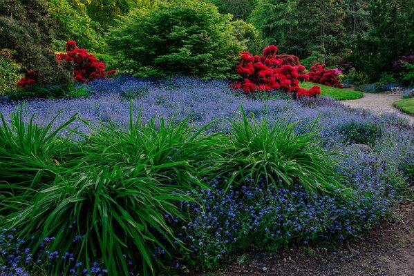 There is a park in Seattle with the most beautiful garden