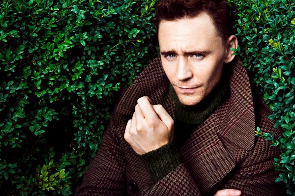 Acteur Tom Hiddleston en manteau sur fond vert