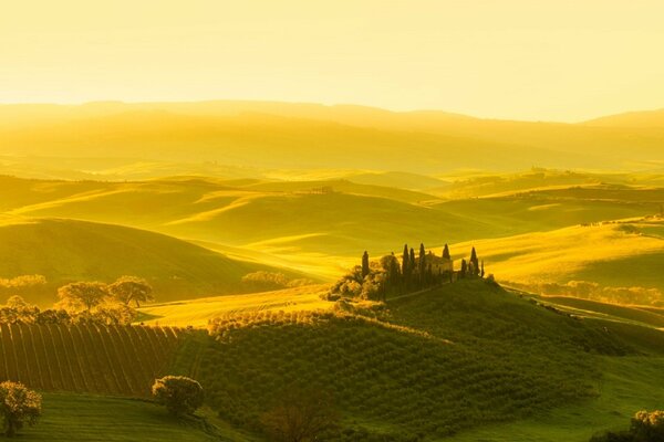 Le colline dormono sotto un po d oro