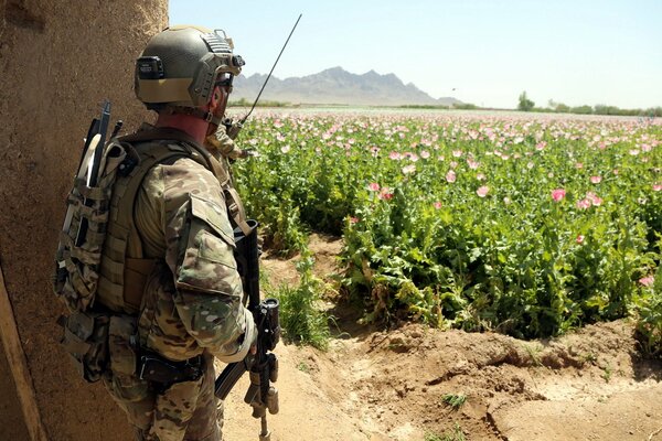 Solda with a gun looks at the flower field