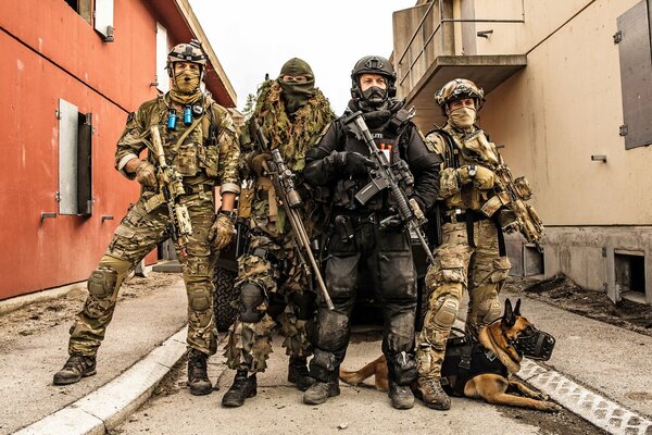 Zespół norweskich sił specjalnych z psem