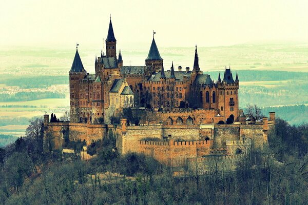 Hohenzollern Castle, Germany and the surrounding forest